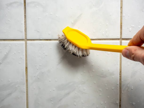 Best Home Mold Removal  in Moorhead, MS