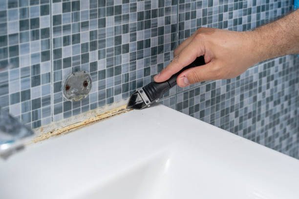 Best Certified Mold Removal  in Moorhead, MS