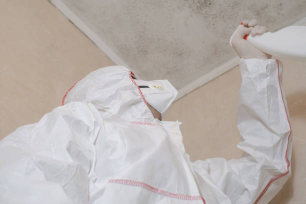 Best Mold Removal and Inspection  in Moorhead, MS